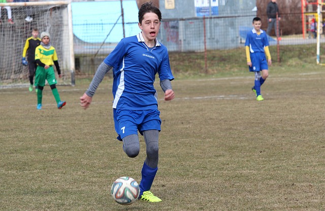 仅引发了公 仅引发了公