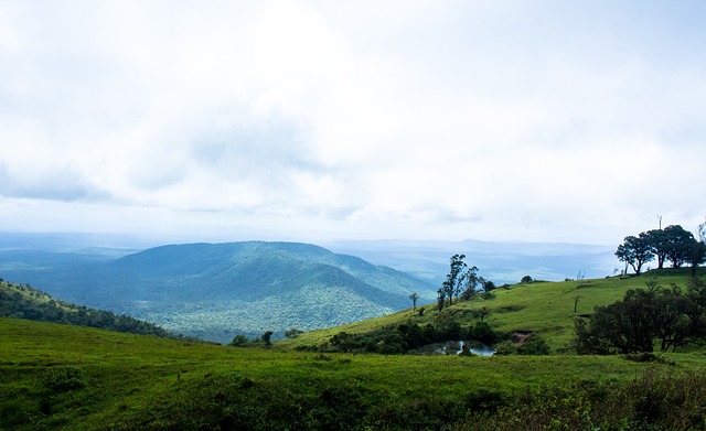 终保持最佳 终保持最佳