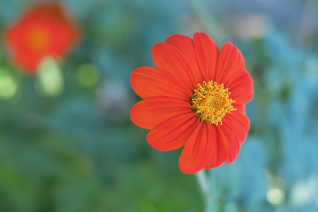 了亚洲射击 了亚洲射击