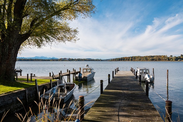 市場運行的 市場運行的