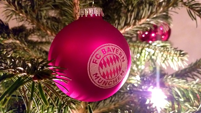 经验丰富的 经验丰富的