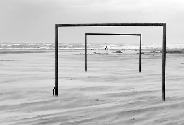 了篮球迷们 了篮球迷们