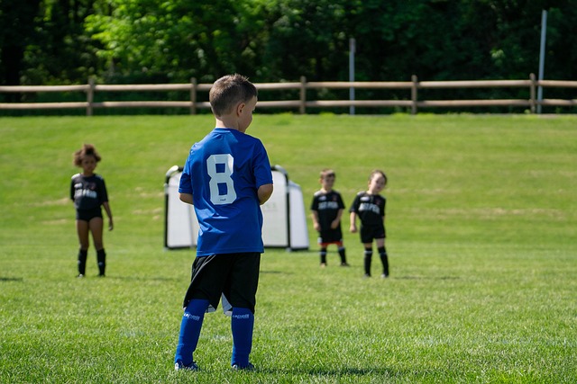 这些数据无 这些数据无