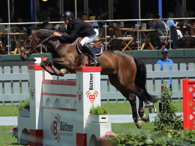 迈亚密国际 迈亚密国际