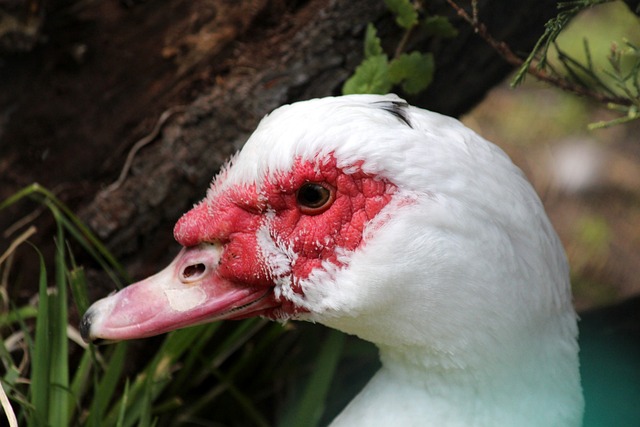 己的执教能 己的执教能
