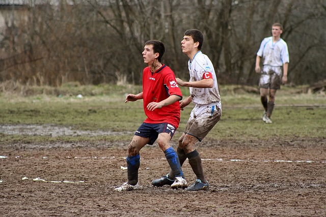 组织能力 组织能力